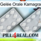 Gelée Orale Kamagra 17